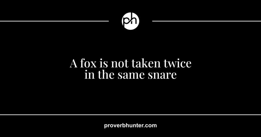 A fox is not taken twice in the same snare